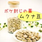 ムクナ豆